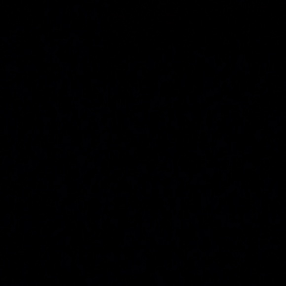 Meet your Posher, Naomi - Picture 1 of 1